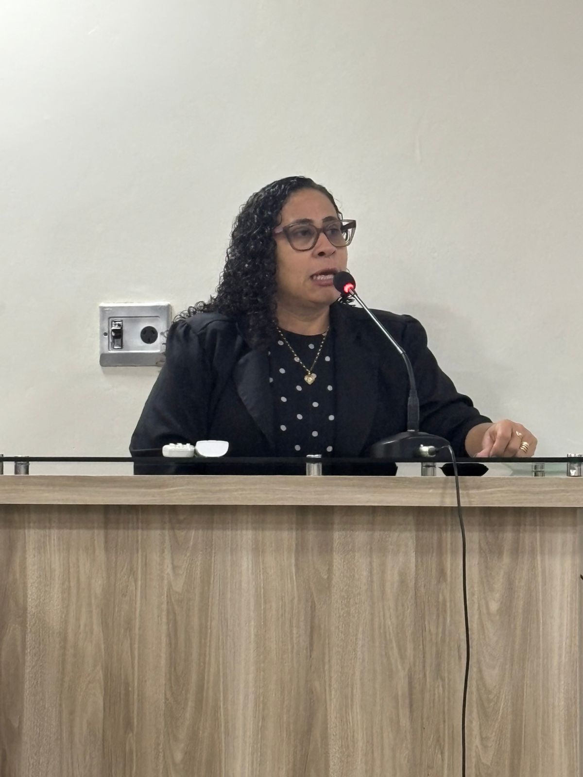 Câmara Municipal recebe estudantes da Unidade Integrada Ananias Murad durante sessão plenária