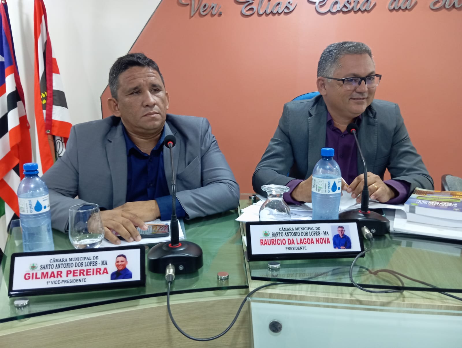 1ª Sessão Plenária Ordinária de 2025