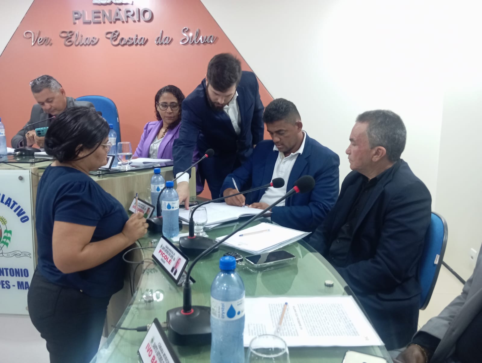 1ª Sessão Plenária Ordinária de 2025