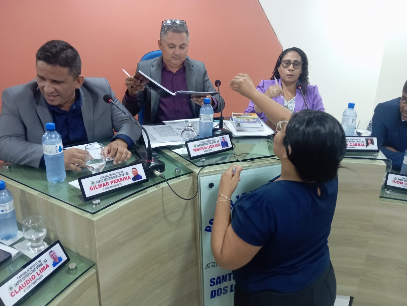 1ª Sessão Plenária Ordinária de 2025