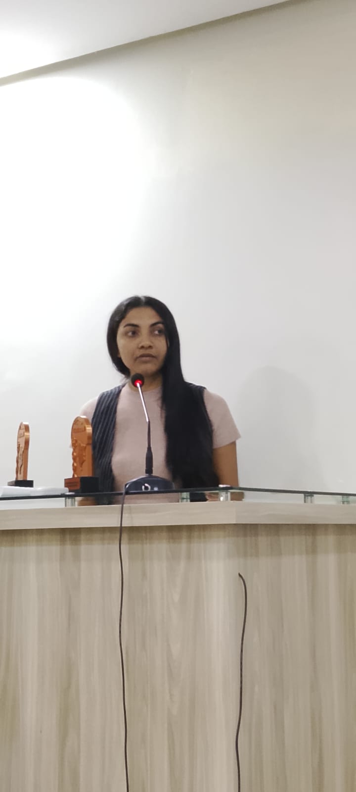 Câmara Municipal de Santo Antônio dos Lopes recebe estudantes e aprecia projetos de iniciação c...