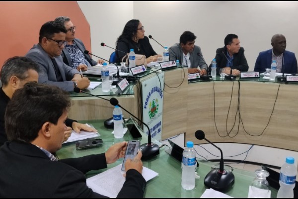 Câmara Municipal de Santo Antônio dos Lopes recebe estudantes e aprecia projetos de iniciação c...